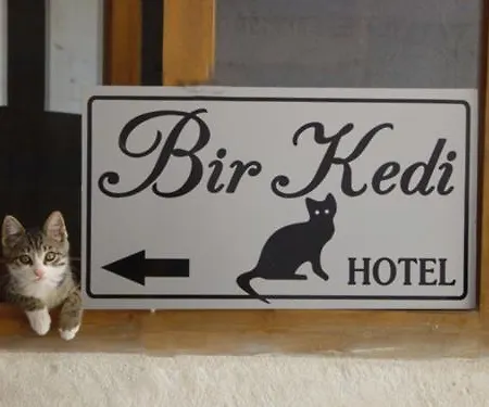 Bir Kedi Проживание в семье *