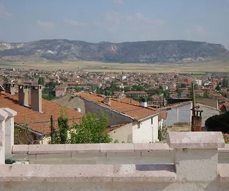 Bir Kedi Аванос