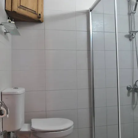 Bir Kedi Проживание в семье *