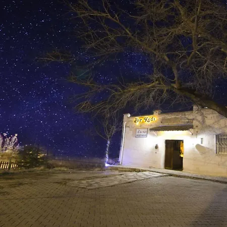 Bir Kedi Аванос