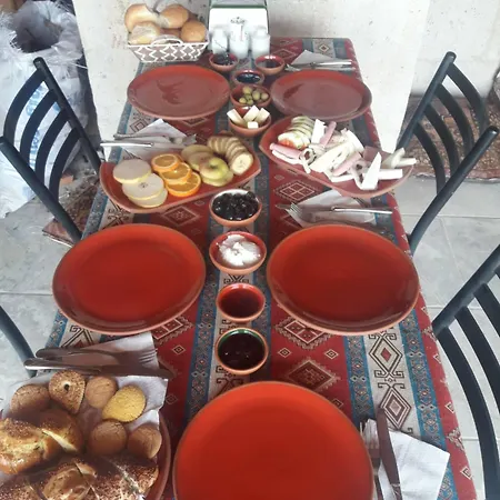 Bir Kedi