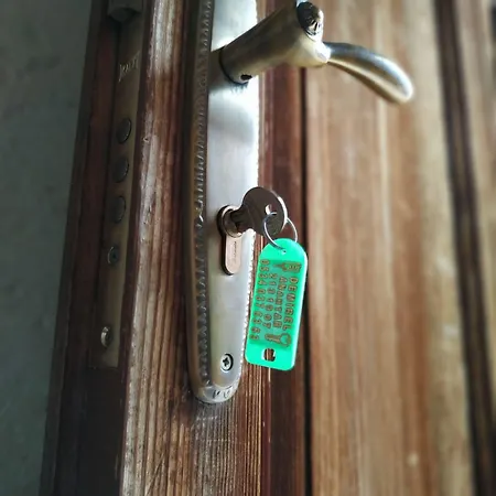 Bir Kedi Аванос