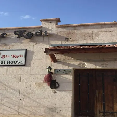 Bir Kedi Проживание в семье Аванос